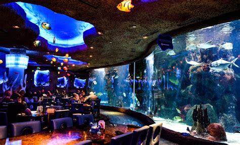 Aquarium nashville - Aquarium Restaurant – Opry Mills – Nashville, TN – OpenTable Book now at Aquarium Restaurant – Opry Mills in Nashville, TN. Explore menu, see photos and read 1527 reviews: “The whole experience was excellent l!